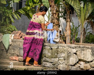 Täglichen Leben: eine Keralas Frau macht ihre Wäsche an den Ufern der Kerala Backwaters, Alappuzha Bezirk, Kerala, Süd-Indien, Südasien Stockfoto