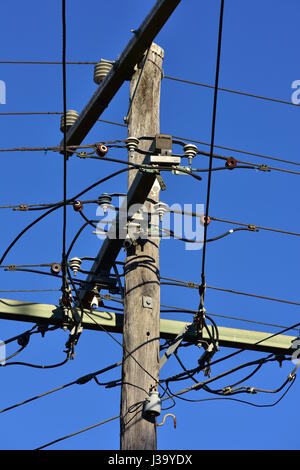 Elektrischen Leitungen Kreuzung mit keramischen Isolatoren auf Holzstab. Stockfoto