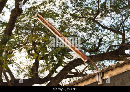 Alte Leuchtstoffröhre mit Rusty im Freien im Garten unter dem großen Baum, warmen Ton. Stockfoto
