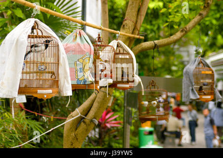 Hängende Vogelkäfige in der Yuen Po Street Bird Garden in Hongkong. Stockfoto