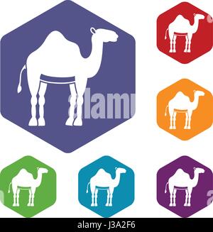 Kamel Icons Set Sechseck Stock Vektor