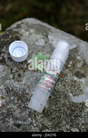 Großvater und Enkel Geocaching auf der North Yorkshire Moors, in der Nähe von Captain Cooks Monument. Stockfoto