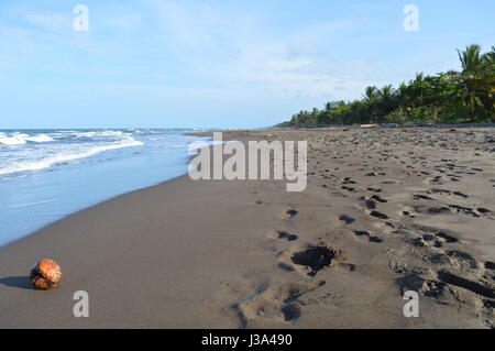 Strand von Tortuguero, Costa Rica. Stockfoto