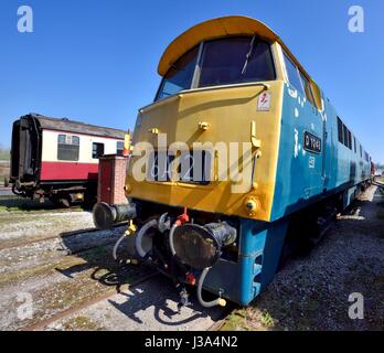 D1048 westlichen Dame Stockfoto