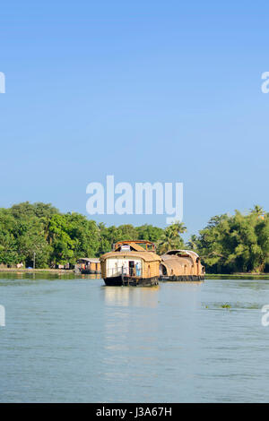 Traditionelle Hausboote auf den Backwaters von Kerala in der Nähe von Alleppey (Alappuzha), Kerala, Süd-Indien, Südasien Stockfoto