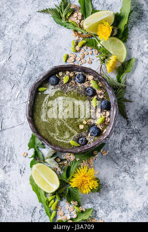 Frühling-Brennnessel und Löwenzahn-smoothie Stockfoto