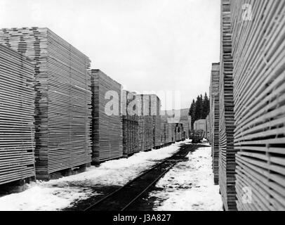 Holz verarbeitende Industrie Stockfoto