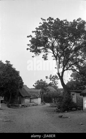 Die Fischerei Dorf Vitt auf der Insel Rügen, 1963 Stockfoto