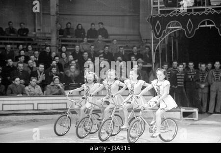 Zwerge führen in einem Zirkus, 1953 Stockfoto