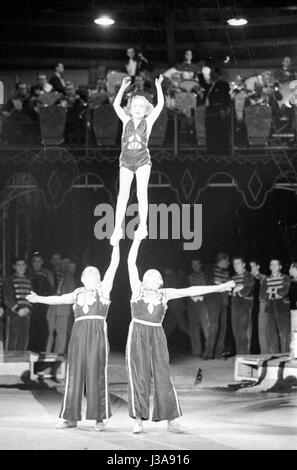 Zwerge führen in einem Zirkus, 1953 Stockfoto