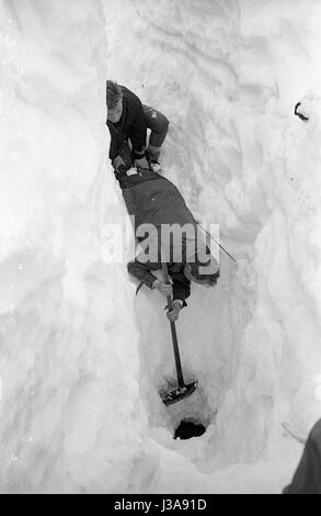 Bergretter in Aktion nach einer Lawine, 1961 Stockfoto