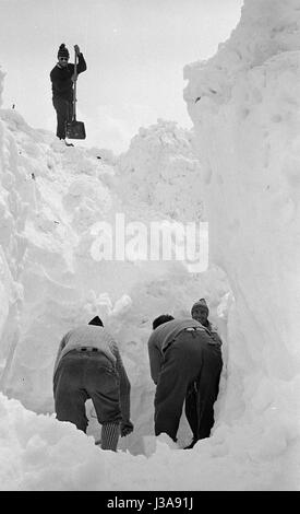 Bergretter in Aktion nach einer Lawine, 1961 Stockfoto