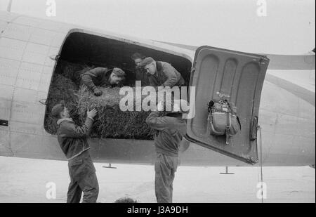 ''' Heu Luftbrücke '' für vom Aussterben bedrohte Wildtiere in den bayerischen Bergen, 1952' Stockfoto