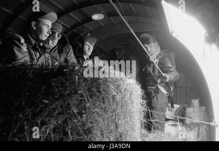 ''' Heu Luftbrücke '' für vom Aussterben bedrohte Wildtiere in den bayerischen Bergen, 1952' Stockfoto