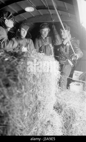 ''' Heu Luftbrücke '' für vom Aussterben bedrohte Wildtiere in den bayerischen Bergen, 1952' Stockfoto