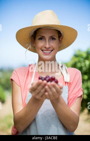 Porträt des Lächelns Bäuerin Holding rote Trauben im Weinberg Stockfoto