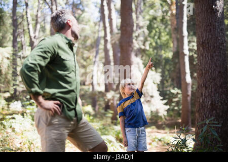 Kleiner Junge zeigt etwas Vater beim Wandern am sonnigen Tag im Wald Stockfoto