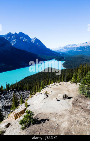 Peyto Lake ist ein Gletscher gespeisten See befindet sich im Banff Nationalpark in den kanadischen Rockies. Der See selbst ist leicht von der Icefields Parkway zugänglich. Stockfoto