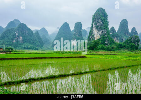 Schöne karstberge und Landschaft Landschaft im Frühling Stockfoto