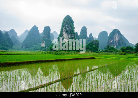 Schöne karstberge und Landschaft Landschaft im Frühling Stockfoto