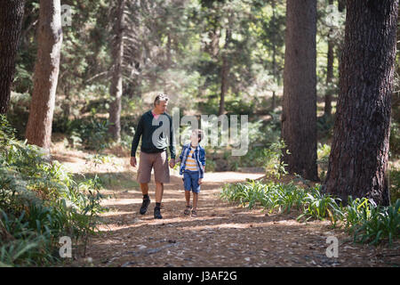 Voller Länge von Vater und Sohn wandern inmitten von Bäumen im Wald Stockfoto