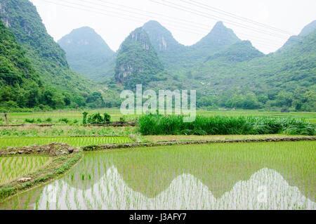 Schöne karstberge und Landschaft Landschaft im Frühling Stockfoto
