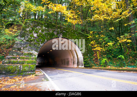 Die Straße, in der halb verschwinden - kreisrunden Tunnel in den Fels gehauen, leuchtet neben Laternen, in einem unberührten Wald gelegen, mit überdachten Stockfoto
