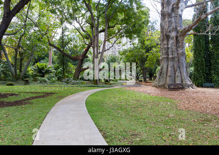 Honolulu-Hawaii 16. Februar 2017 Foster Botanical Gardens in Honolulu Hawaii Stockfoto