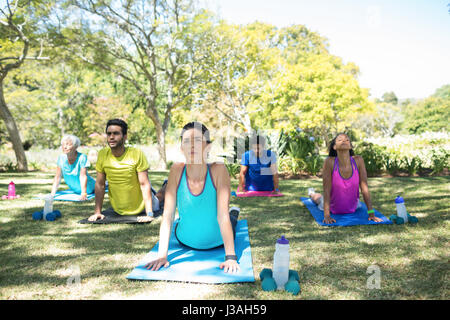 Gruppe von Menschen, die Yoga im Park an einem sonnigen Tag durchführen Stockfoto