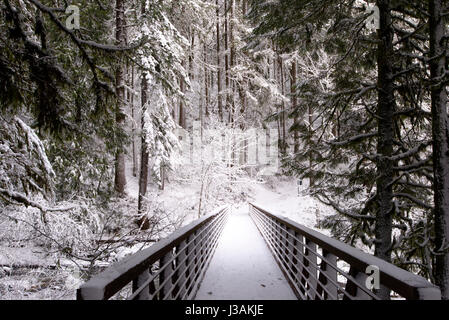 Eine Fußgängerbrücke mit einem Geländer durch eine Schlucht in einem wilden Wald, im Winter mit Schnee bedeckt, ruht auf einem Wanderweg zu Fuß den touristischen Routen. Stockfoto