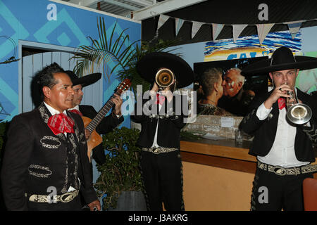 Mexikanische Livemusik in SoCal, 1 Young Street, Neutral Bay, Sydney, Australien. Stockfoto