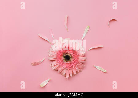 Rosa Gerbera Blume auf Pastell Ton Hintergrund. Ansicht von oben, Leerzeichen Stockfoto