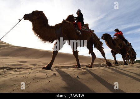 Der Provinz Gansu Dunhuang, China. 3. Mai 2017. Touristen fahren Kamele an berühmte Sand Berg oder die singenden Sanddünen in Dunhuang, Nordwesten Chinas Provinz Gansu, 3. Mai 2017. Berühmte Sand Landschaft Bergzone in Dunhuang hat vor kurzem zahlreiche Touristen angezogen. Bildnachweis: Fan Peishen/Xinhua/Alamy Live-Nachrichten Stockfoto