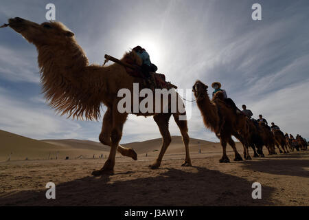 Der Provinz Gansu Dunhuang, China. 3. Mai 2017. Touristen fahren Kamele an berühmte Sand Berg oder die singenden Sanddünen in Dunhuang, Nordwesten Chinas Provinz Gansu, 3. Mai 2017. Berühmte Sand Landschaft Bergzone in Dunhuang hat vor kurzem zahlreiche Touristen angezogen. Bildnachweis: Fan Peishen/Xinhua/Alamy Live-Nachrichten Stockfoto