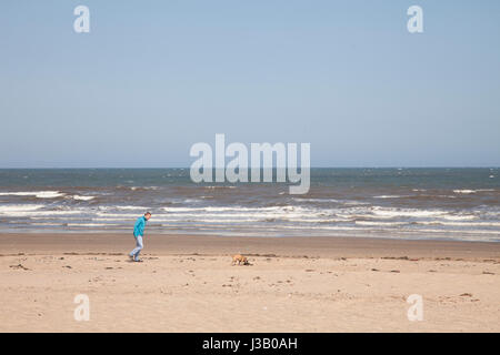 Portobello Beach, Edinburgh, UK. 4. Mai 2017. Großbritannien Wetter. Der Mensch in eine blaue Jacke und Jeans seinen Hund an sonnigen Tag am Strand von Portobello in Edinburgh, Schottland, Großbritannien. Wetter: 4.5.2017 Kredit: Gabriela Antosova/Alamy Live-Nachrichten Stockfoto