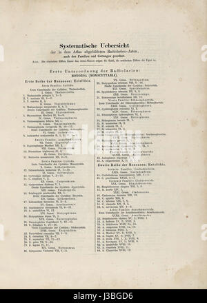 Die Radiolarien (Rhizopoda Radiata) Ernst Haeckel Abbildungsverzeichnis01 Stockfoto