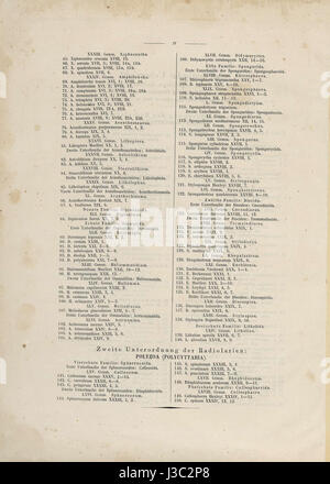Die Radiolarien (Rhizopoda Radiata) Ernst Haeckel Abbildungsverzeichnis02 Stockfoto