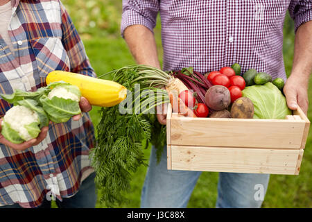 Älteres Paar mit Box Gemüse auf Bauernhof Stockfoto