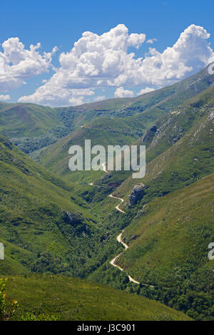 Outenique Pass in der Nähe von George Garden Route Western Cape Südafrika Stockfoto