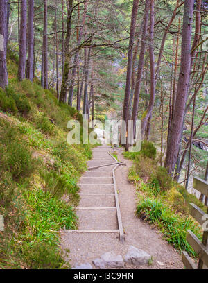 Wanderweg führt nach Foyers Wasserfall, Foyers, Schottland Stockfoto