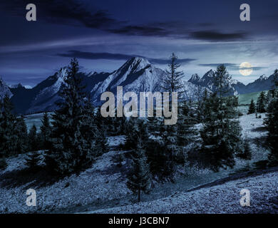 Zusammengesetzte Sommerlandschaft mit Fichtenwald auf grasbewachsenen Hügel in der hohen Tatra in der Nacht im Vollmondlicht Stockfoto