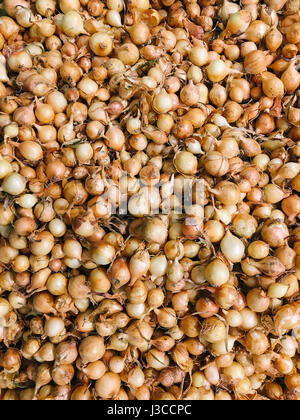 Gelbe Zwiebel zum Verkauf In Gemüsemarkt Stockfoto