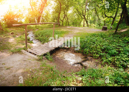 Alte kleine Brücke über einen Fluss in einem tropischen Wald Stockfoto