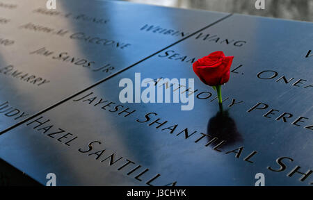 Eine rote Rose ist bei Denkmal 9/11 in New York City gelegt. Die Gedenkstaette erinnert an die Opfer des Terroranschlags. Stockfoto