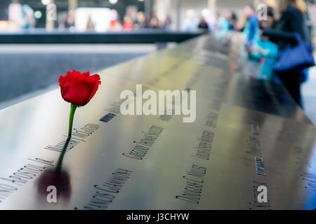 Eine rote Rose ist bei Denkmal 9/11 in New York City gelegt. Die Gedenkstaette erinnert an die Opfer des Terroranschlags. Stockfoto