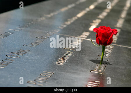 Eine rote Rose ist bei Denkmal 9/11 in New York City gelegt. Die Gedenkstaette erinnert an die Opfer des Terroranschlags. Stockfoto