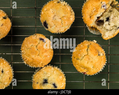 Gebackenen Blaubeeren und Cranberry Muffins auf einem Kuchengitter Stockfoto