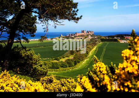 Ein Foto von Bamburgh Castle in Northumberland im Frühjahr aus dem Westen von Bamburgh genommen. Stockfoto