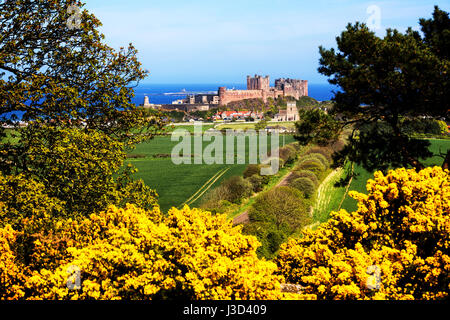 Ein Foto von Bamburgh Castle in Northumberland im Frühjahr aus dem Westen von Bamburgh genommen. Stockfoto