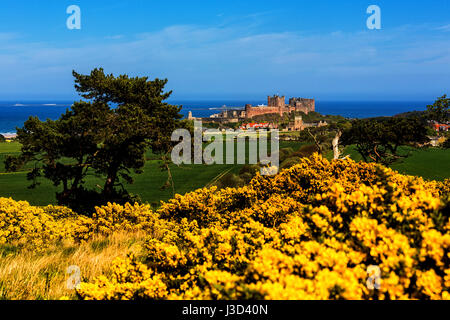 Ein Foto von Bamburgh Castle in Northumberland im Frühjahr aus dem Westen von Bamburgh genommen. Stockfoto